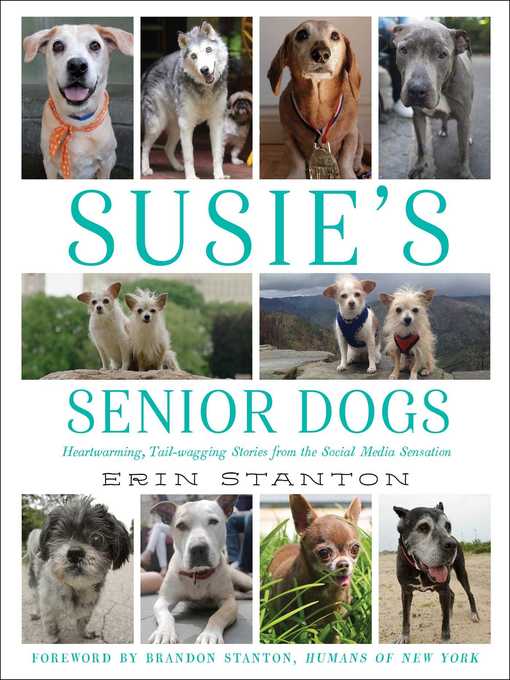 Cover image for Susie's Senior Dogs